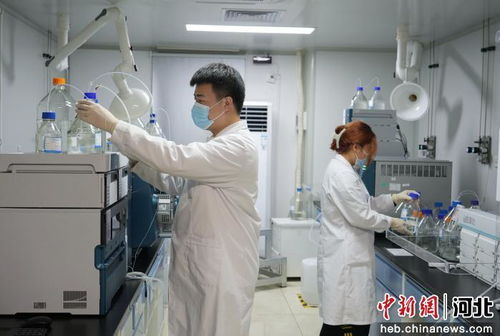 廊坊市積極引進京津創新資源，賦能生物醫藥研發產業高質量發展