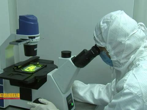 十年磨一劍 安科生物以超10%營收重注研發，鑄就生物醫藥創新引擎