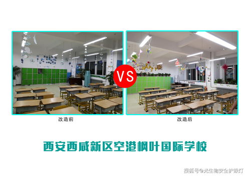 探索未來教育新模式 西安西咸新區(qū)空港楓葉國際學(xué)校的生物研發(fā)樣板間