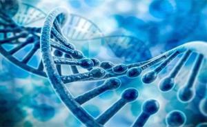 銳翌生物獲近億元A輪融資，魯信創(chuàng)投領(lǐng)投加速生物研發(fā)新突破